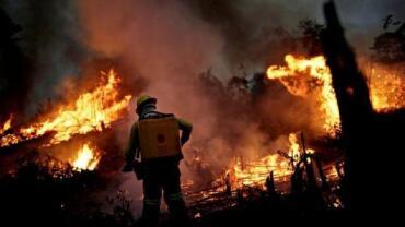 MT é o estado com mais focos de incêndio do país em agosto