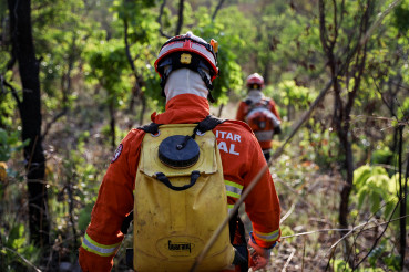 Decreto de Trump suspende parceria para combate a incêndios florestais no Brasil