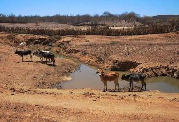 Estado homologa emergência em 3 municípios por causa de seca e incêndios