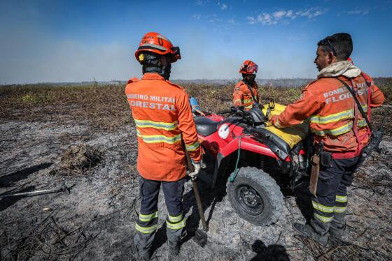 PC já prendeu 16 pessoas por incêndios em vegetações