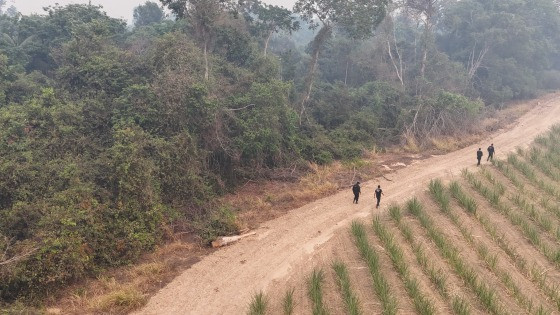 Sumido há 4 dias, jovem é encontrado com corpo  dilacerado; suspeitos são presos