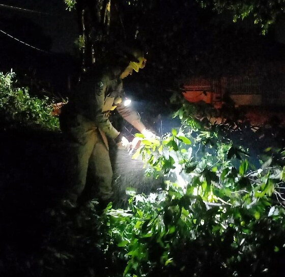 Bombeiros cortam árvores e desobstroem ruas afetadas por temporal em MT