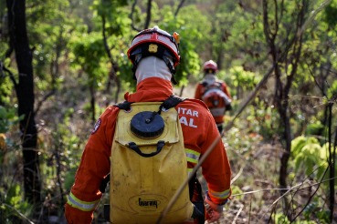 Bombeiros de MT combatem 41 incêndios florestais neste sábado (21)