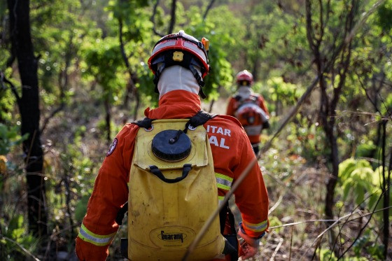 Bombeiros de MT combatem 41 incêndios florestais neste sábado (21)