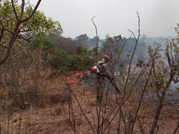 Incêndio atinge sítios e fazenda em Campo Verde