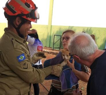 Bombeiros resgatam animais e removem marimbondos que ofereciam risco aos estudantes