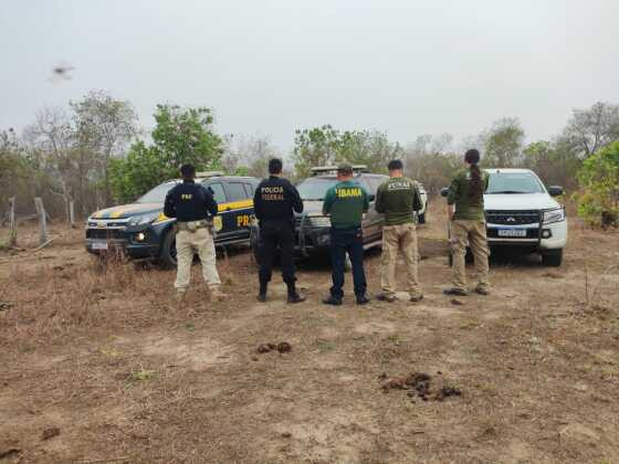 Operação combate crimes ambientais em terra indígena 