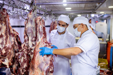 Ciclo de baixa da pecuária impulsiona aumento nos preços da carne