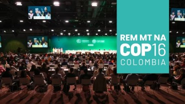 Programa REM MT participa da COP16 para apresentar resultados e debater soluções para a biodiversidade