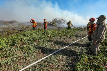 Bombeiros de MT combatem 15 incêndios florestais neste sábado (26)