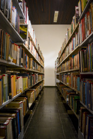 Biblioteca Estevão de Mendonça realiza palestra e oficina de dança africana em comemoração ao Dia da Consciência Negra