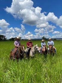 Haras Corrêa da Costa