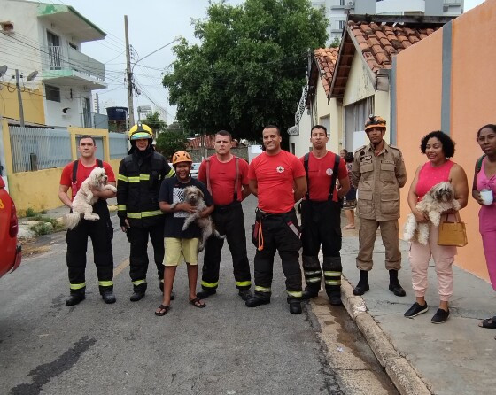 bombeiros fogo.jpeg