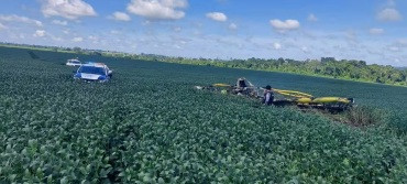 Avião agrícola pega fogo após queda e piloto morre carbonizado em MT