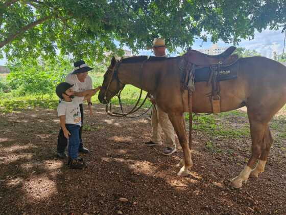  Sesp realiza cerca de 890 atendimentos com equoterapia para crianças e adolescentes