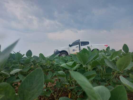 Na safra 2023/2024 foram cadastradas no órgão 16.517 unidades de produção de soja, com total de área de 11.326.725 hectares