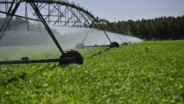 Política Estadual de Agricultura Irrigada incentiva aumento da área de irrigação em MT