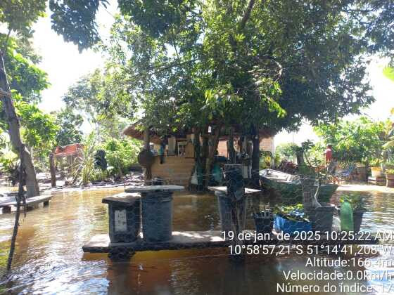 Chuvas alagam 80% das residências em aldeia em MT; imagens