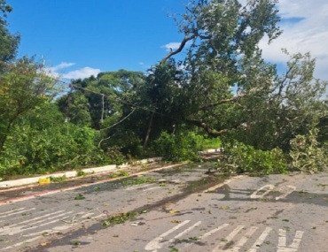 Regiões de Cuiabá ficam sem energia após temporal 