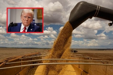 Líderes do agro de MT se animam com Trump na presidência dos EUA