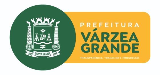 várzea grande logomarca identidade visual flávia moretti