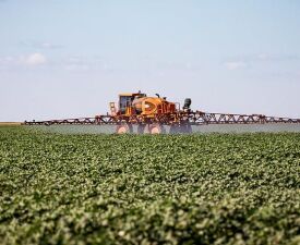 MT aprimora regras que tratam sobre receita para uso de agrotóxicos