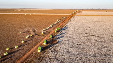 Mato Grosso tem cinco empresas entre as 100 maiores do agronegócio no Brasil 