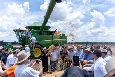 Abertura nacional da colheita da safra 24/25 destaca a produção sustentável de soja