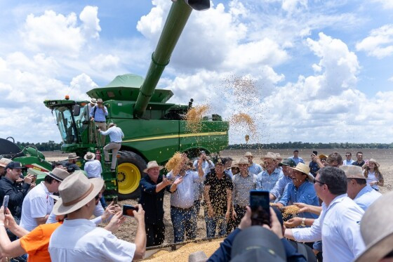 abertura colheita.jpg