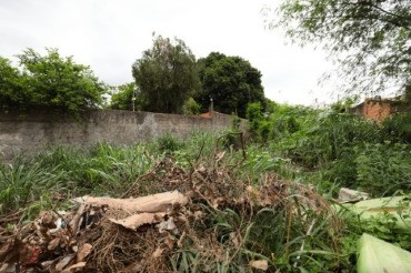 Terreno sujo em Cuiabá gera multas e pode ser denunciado via WhatsApp