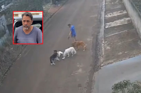 Delegado destaca covardia e frieza de tutor que permitiu que cães matassem gato 