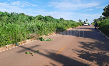 Corpo de homem é encontrado em área de mata próximo de cemitério clandestino 