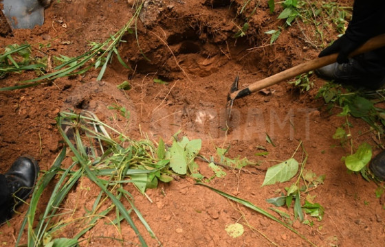 corpos encontrados em cemitério clandestino