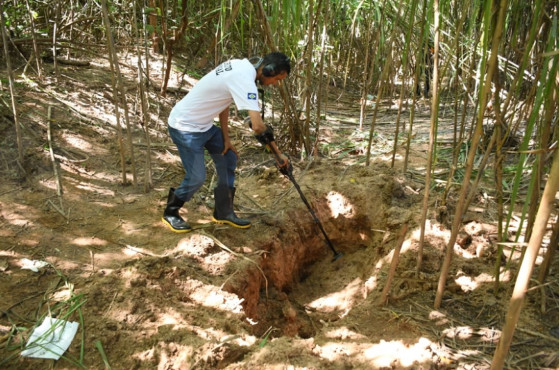 Corpo encontrado em área de mata em Rondonópolis