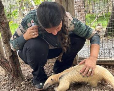 Sema abre cadastro para quem deseja ser guardião de animais silvestres