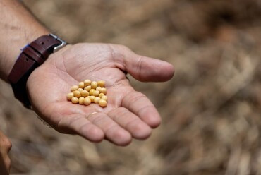 Além da economia: impacto do agronegócio no cotidiano da sociedade