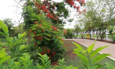 Parque “Tanque do Fancho” é adicionado ao Sistema Nacional de Unidades de Conservação