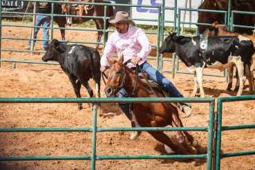 Vencedores de provas equestres vão receber mais de R$ 1 milhão em prêmios