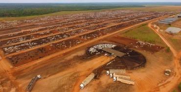 Gigante da proteína animal no Brasil entra com pedido de recuperação judicial