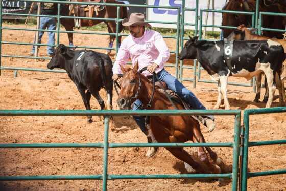 semana do cavalo