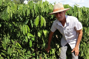 Do sonho à realidade: como o REM MT transformou a cafeicultura no Portal da Amazônia