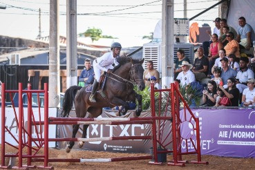 Feira de negócios equestres atrai expositores por anos consecutivos