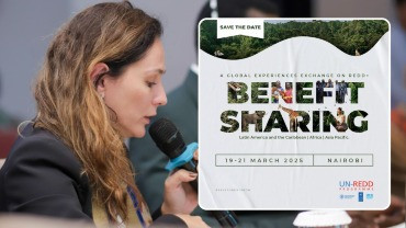 Programa REM MT apresenta desafios e aprendizados sobre REDD+ em intercâmbio global