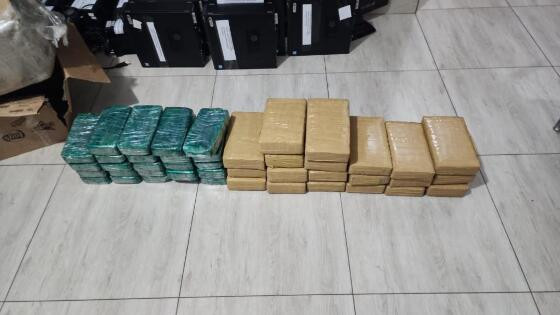 Polícia apreende carga de R$ 1 milhão de drogas em MT