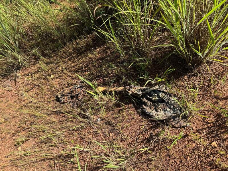 OSSADA ENCONTRADA EM MT 2