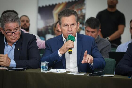 mauro customt.jpg