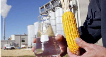 Mato Grosso mantém liderança nacional na produção de etanol de milho 