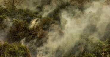 STF determina que União desaproprie terras alvo de incêndio ou desmatamento ilegal