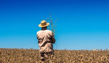 Produtores rurais têm até 22 de maio para pagar a Contribuição Sindical Rural