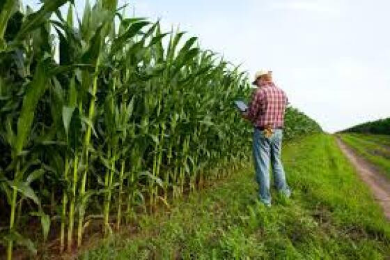 PRODUTOR RURAL 
